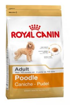 Royal canin Breed Pudl 500g