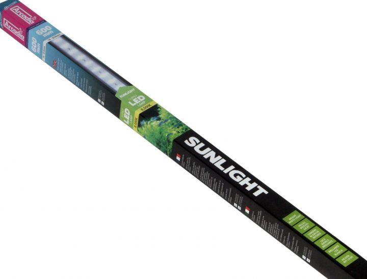 D1220-2.jpg
