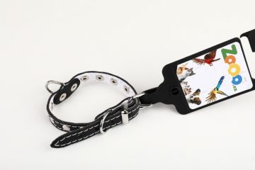 Obojek PETAMME® STELLA, podš.filc.,zd.nýty (10mm x 26cm) černá