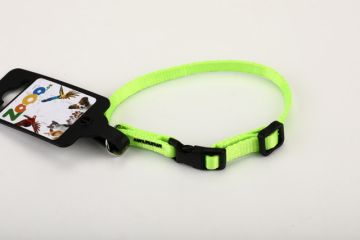 Obojek PETAMME® popruh NEON (10mm x 18-26cm) zelená