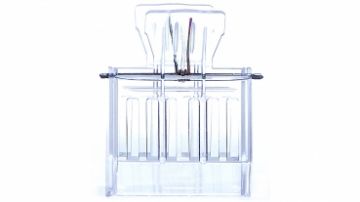 Výchytka včelích matek skřipec plastová čirá