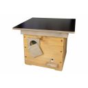 cmelin-0100.jpg thumb