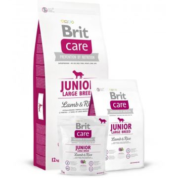 Brit Care Dog Junior Large Breed Lamb & Rice 12 kg