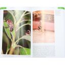 149008-fenomenalni-vcely-2.jpg thumb