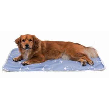 Deka Anchor 100 x 70 cm modrá/bílá