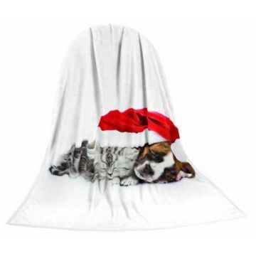 Deka TEXSTAR mikrovlákno 280g 150 x 200 cm, - kotě a štěně vánoční