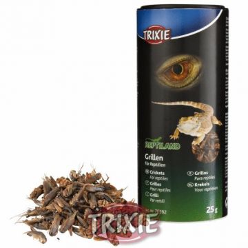 Sušený cvrček 250 ml/25 g