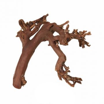 Přírodní dekorace do terária, větev z vinné révyM 35-45cm