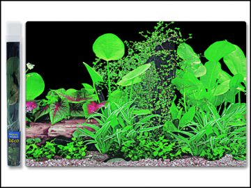 Pozadí AQUA EXCELLENT tapeta ráj rostlin 40 x 1 cm