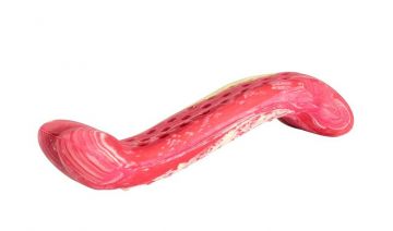 Antibakteriální dentální kost s vůní hovězího stea