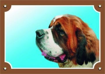 Barevná cedulka Pozor pes, Bernardýn