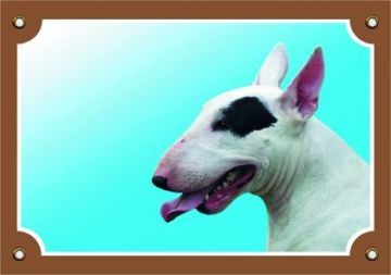 Barevná cedulka Pozor pes, Bullterier