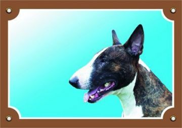 Barevná cedulka Pozor pes, Bullterier fena