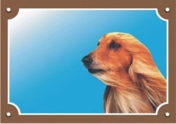 Barevná cedulka Pozor pes, Čínský chocholatý pes