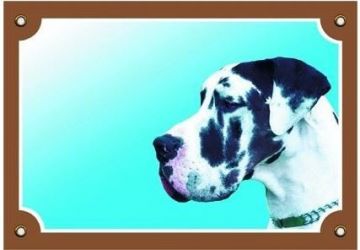 Barevná cedulka Pozor pes, Doga harlequin