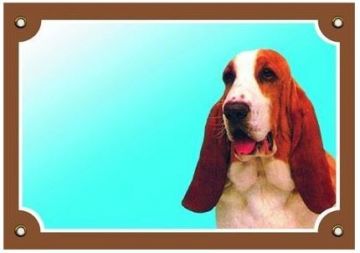 Barevná cedulka Pozor pes, Baset