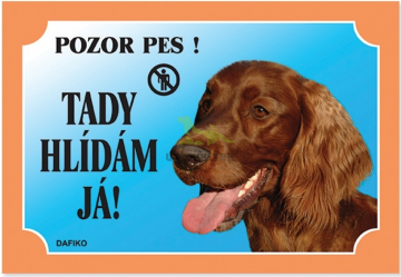 Barevná cedulka Pozor pes, Irský setr