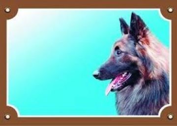 Barevná cedulka Pozor pes, Tervueren