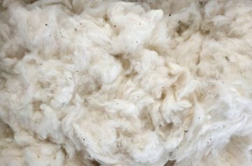 Náplň do čmelínu - 100% surová bavlna