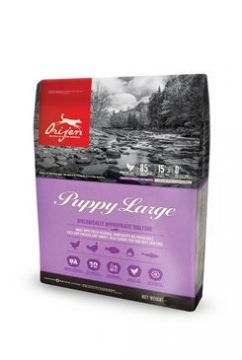 Orijen Dog Puppy Large 6kg
