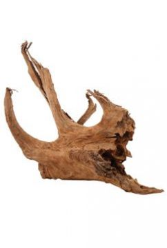 Akvarijní/terarijní kořen Mangrove L 40/60cm