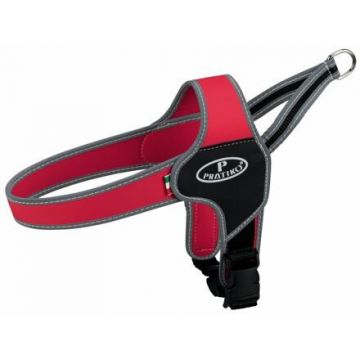 PRATIKO norwegian postroj Apollo XXS-XS 28-33 cm, - červený