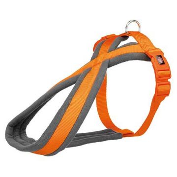 Nylonový postroj PREMIUM podšitý 40-60cm/20mm (S-M), - papaya