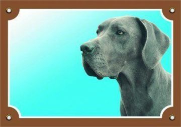 Barevná cedulka Pozor pes, Doga modrá