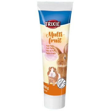 Pasta sladová Multifruit pro hlodavce 100 g