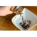 2804-pyl-1.jpg thumb