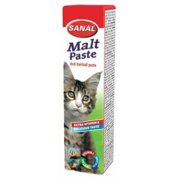 SANAL trávicí pasta 20 g