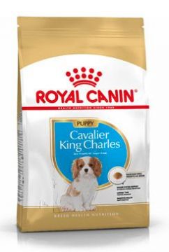 Royal Canin Breed Kavalír King Charles Junior 1,5kg