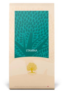 Essential Stamina 12kg