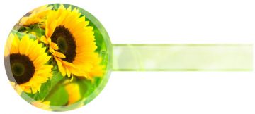 Etikety samolepící na víčko sklenice SLUNEČNICE