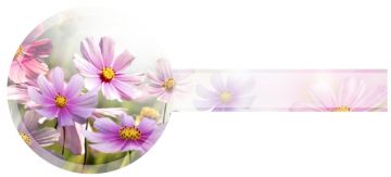 Etikety samolepící na víčko sklenice KVĚTINY