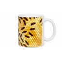 2XX83953a1.jpg thumb