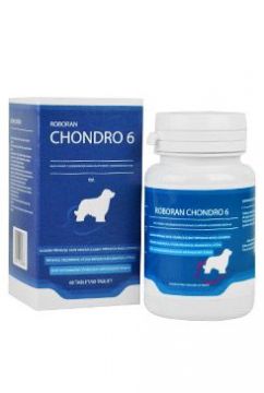 Roboran Chondro 6 pro psy 60tbl
