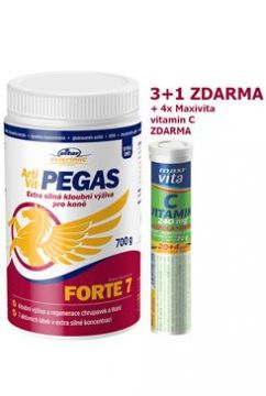 Nomaad ArtiVit Pegas Forte 7 prášek 700g