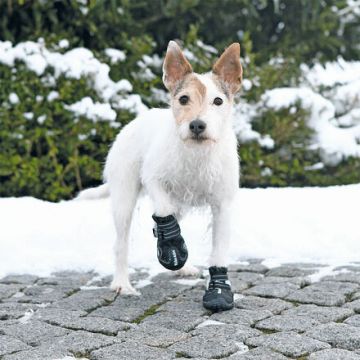 Ochranné boty WALKER ACTIVE S-M 2 ks (jack russell teriér)