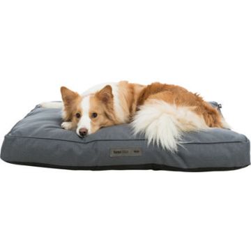 Polštář Farello obdelníkový 90 x 65 cm šedý