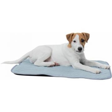 JUNIOR podložka k ležení s chladicím efektem, 60 x 50 cm, mátová