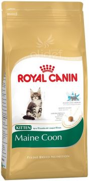 Royal canin Breed Feline Kitten Maine Coon 10kg