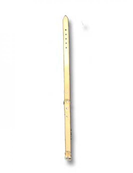 C4760.jpg