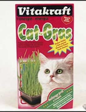 Vitakraft Cat Gras tráva 120g