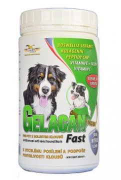 Gelacan Fast 500g