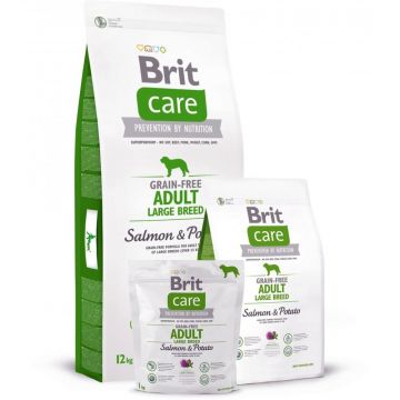 Brit Care Dog Grain-free Adult LB Salmon & Potato 1kg