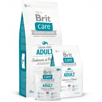 Brit Care Dog Grain-free Adult Salmon & Potato 1kg