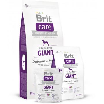 Brit Care Dog Grain-free Giant Salmon & Potato 1kg
