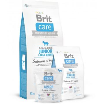 Brit Care Dog Grain-free Junior LB Salmon & Potato 3kg