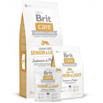 Brit Care Dog Grain-free Senior Salmon & Potato 1kg